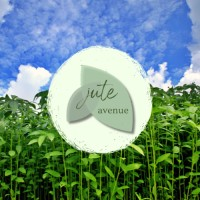 Jute Avenue Inc